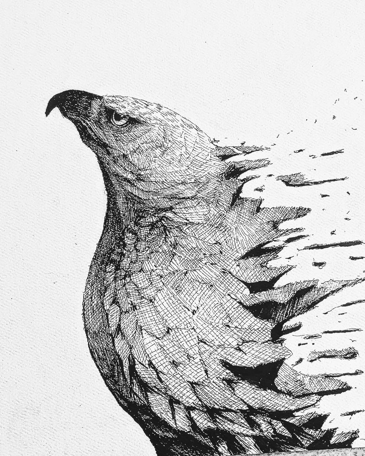 Image of artwork Detailed black and white ink illustration of a hawk or eagle in profile, with realistic texture and shading on the feathers. The bird’s back appears to fragment into scattered pieces, giving the impression of disintegration or transformation into the wind.